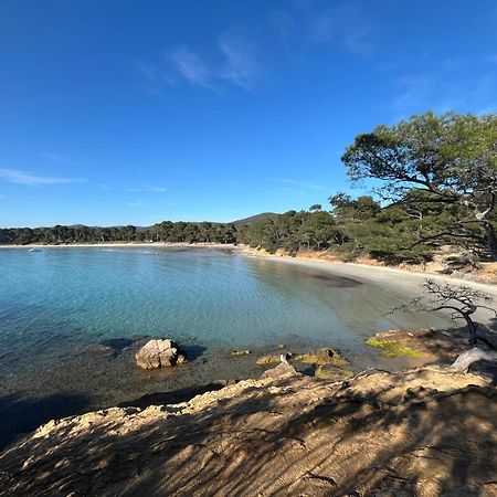 Appartement Plage Piscine Et Tennis Inclus La Londe-les-Maures Dış mekan fotoğraf