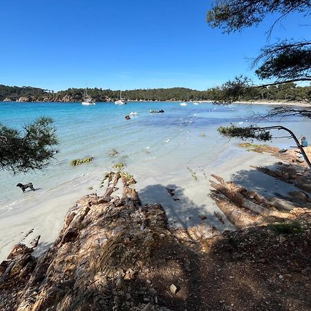 Appartement Plage Piscine Et Tennis Inclus La Londe-les-Maures Dış mekan fotoğraf