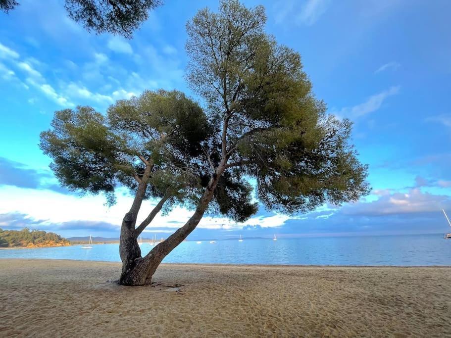 Appartement Plage Piscine Et Tennis Inclus La Londe-les-Maures Dış mekan fotoğraf