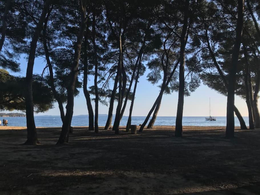 Appartement Plage Piscine Et Tennis Inclus La Londe-les-Maures Dış mekan fotoğraf
