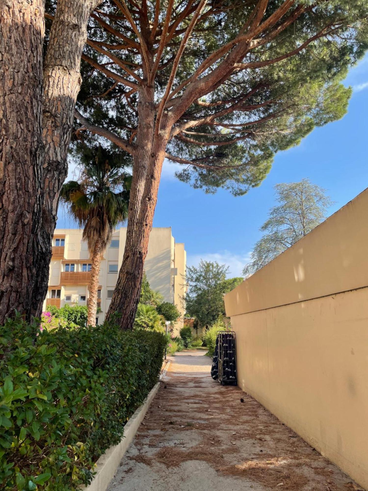 Appartement Plage Piscine Et Tennis Inclus La Londe-les-Maures Dış mekan fotoğraf